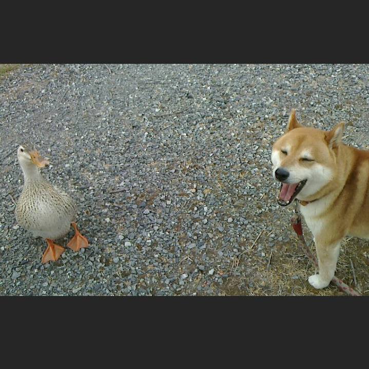 Fb97913c 4d3c 4f1a b8b7 9209f84ad74b