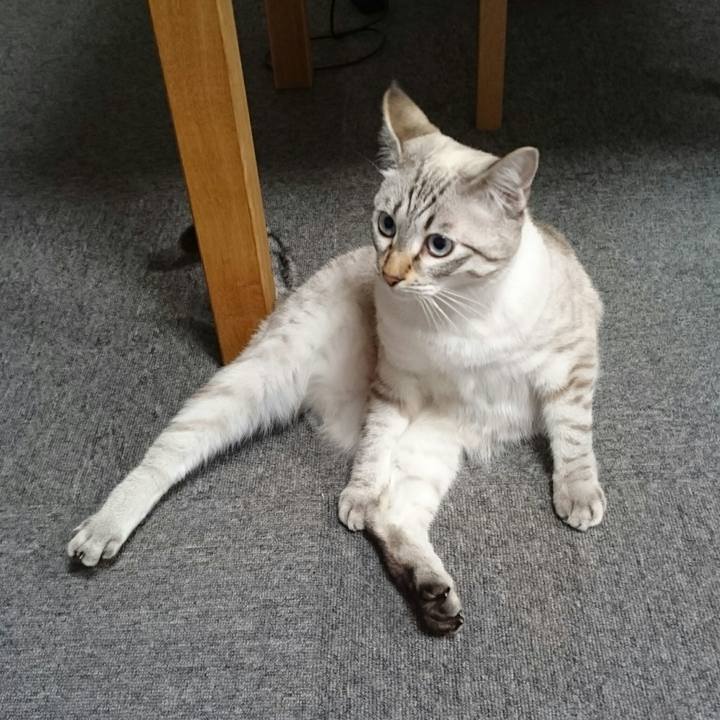 Fb97dee7 54a9 43b8 8a45 6aed18c49feb