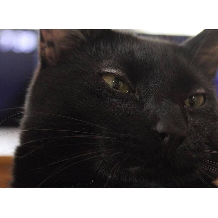 Fb97e317 ac0b 46c4 875c b2d1d26eec08