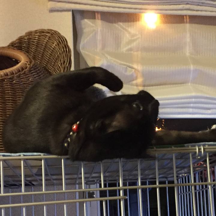 Fb97f2a6 4683 47c9 b080 ab22402422a0