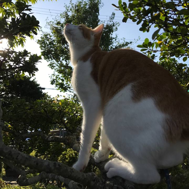 Fb9828e8 925b 4584 ae39 80de570f3bb7