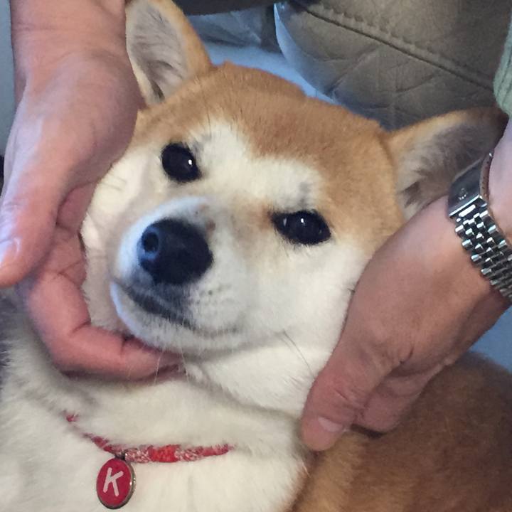 Fb998303 4e30 444f 9874 9101dcb53ec2