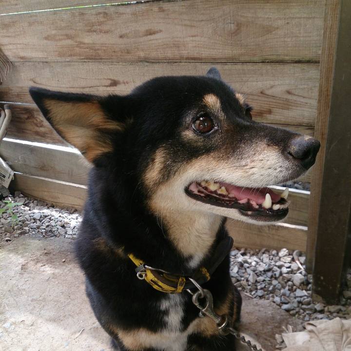 Fb9a58dc 1c33 4207 a387 2fa5fe40a434