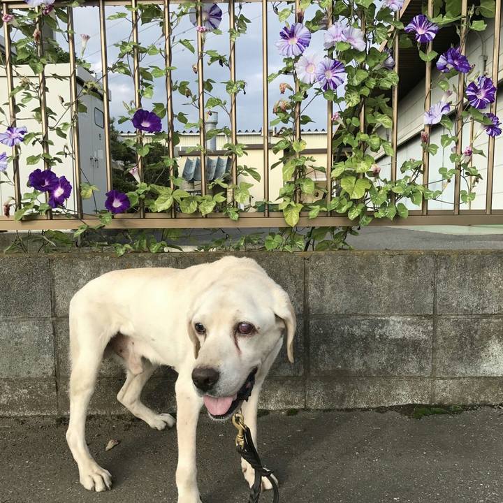 Fb9ac8dd 6ff1 4e4d a153 55efb66d392b