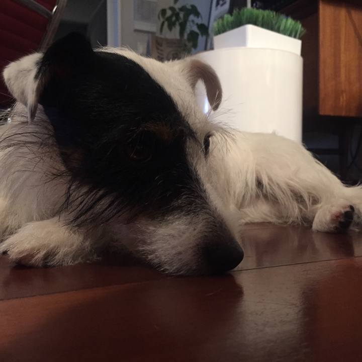 Fb9b3030 75e6 4a20 ba67 d58966e8f083