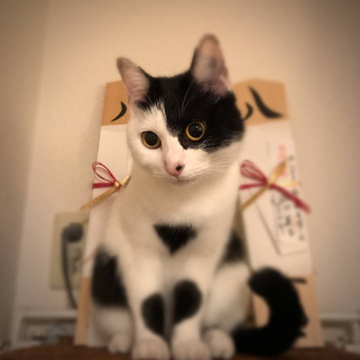 Fb9b4893 904d 43a9 a507 c06459fe5937