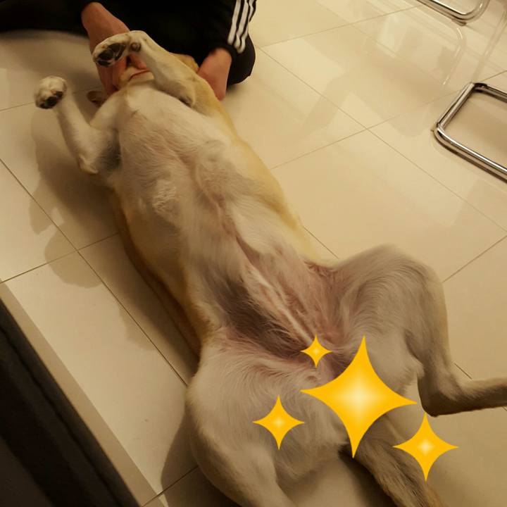 Fb9ccd00 4af9 4dc0 a423 63552ce496a8