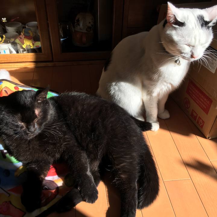 Fb9d0de7 4985 4655 94b9 ec12ec5939a3