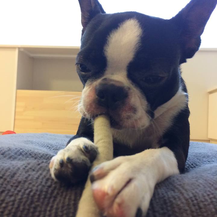 Fb9d87bd 8114 42d7 8a8f 297e4ff8c86a