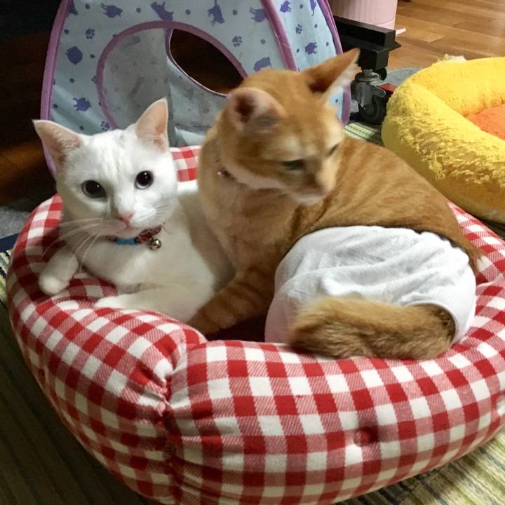 Fb9dfb31 d6a0 4e3e a84f b80233441d46