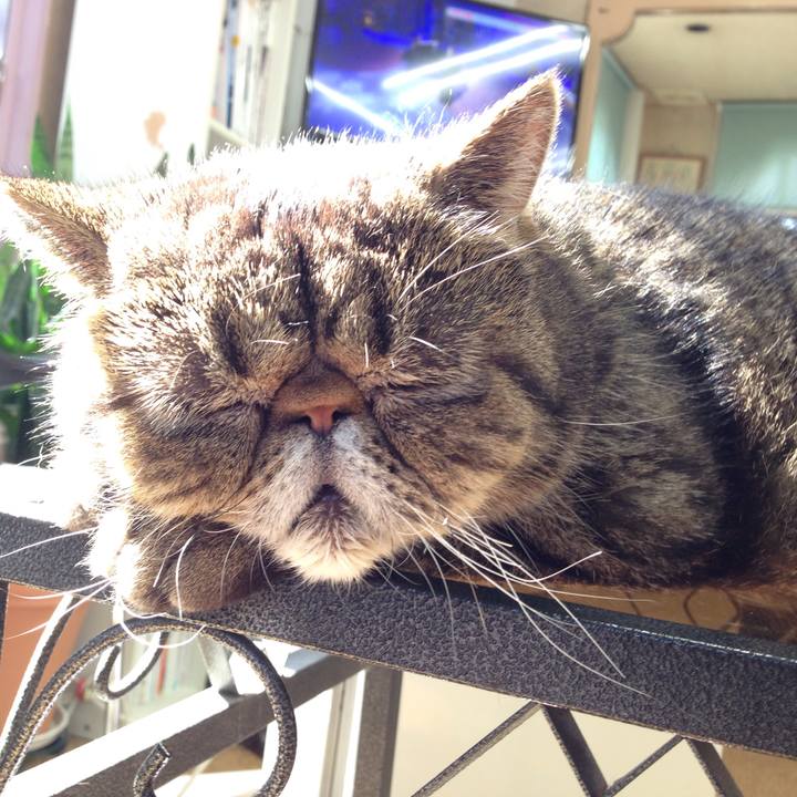 Fb9e22a6 ebc2 4055 85d6 03b1dce61efe