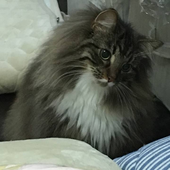 Fb9e430b d519 4f93 95eb afbdc30ac38f