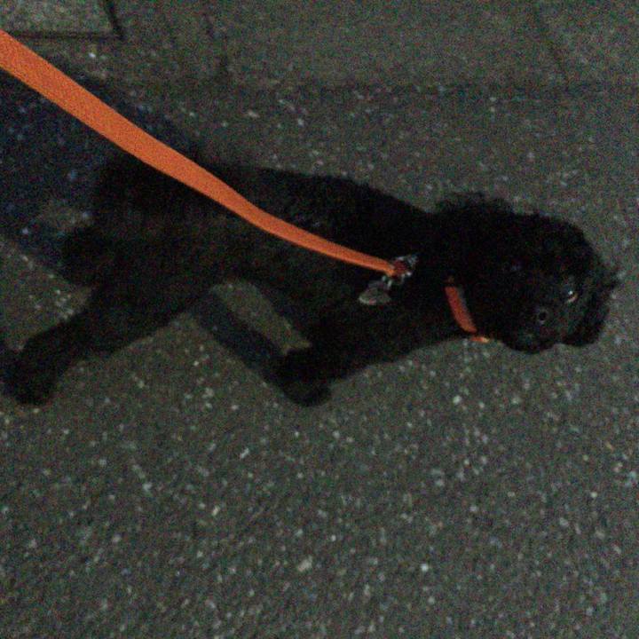 Fb9f34c4 2b20 451b beb2 3a843b164ee4