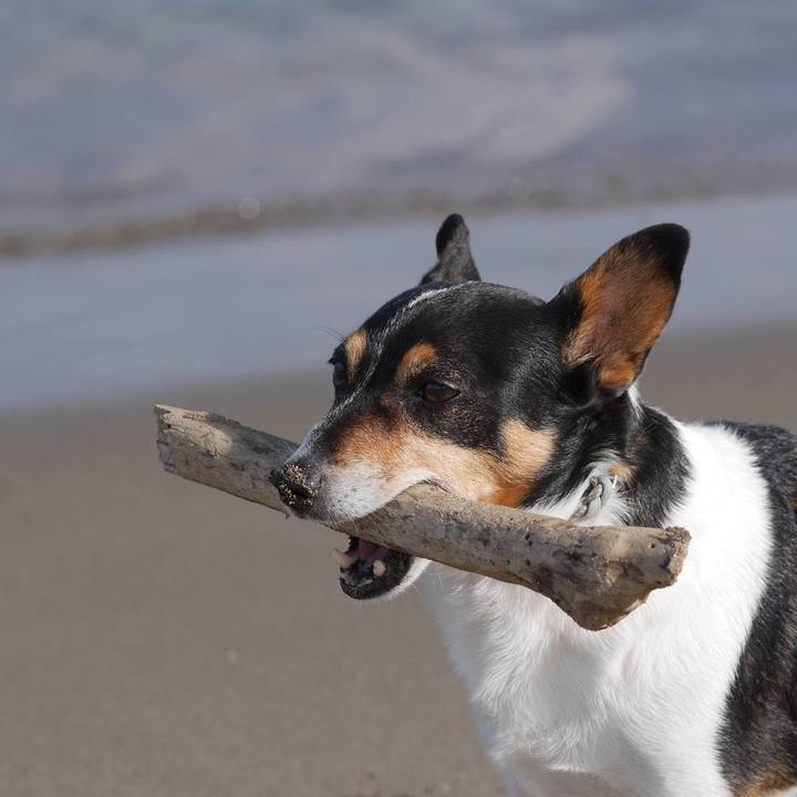 Fb9fc3ff a172 4315 a0a9 ebb807feda13