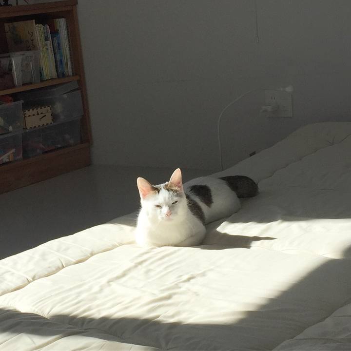 Fba05ee6 38c6 4d46 8e0d 9cfad5051b56