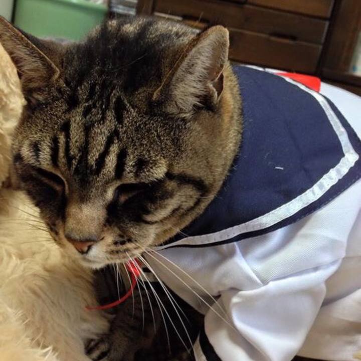 Fba0996f 7a4a 4d73 b249 837156fcd6dc