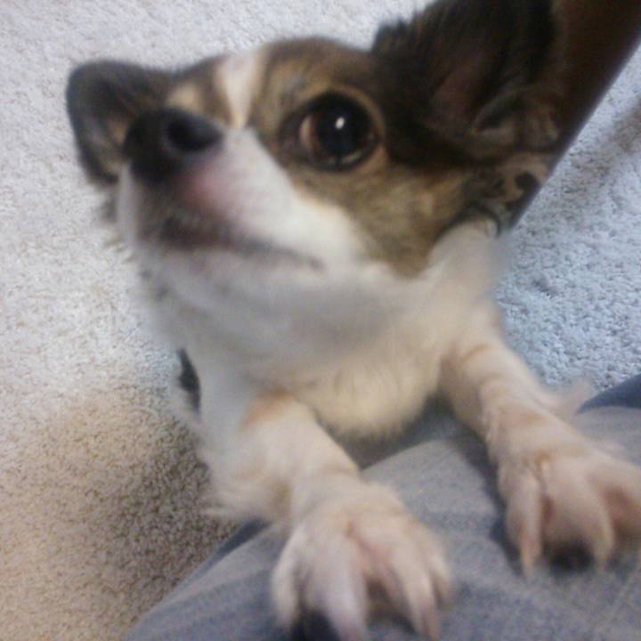 Fba30225 07d4 4e55 82bb ffb113bfb4a7