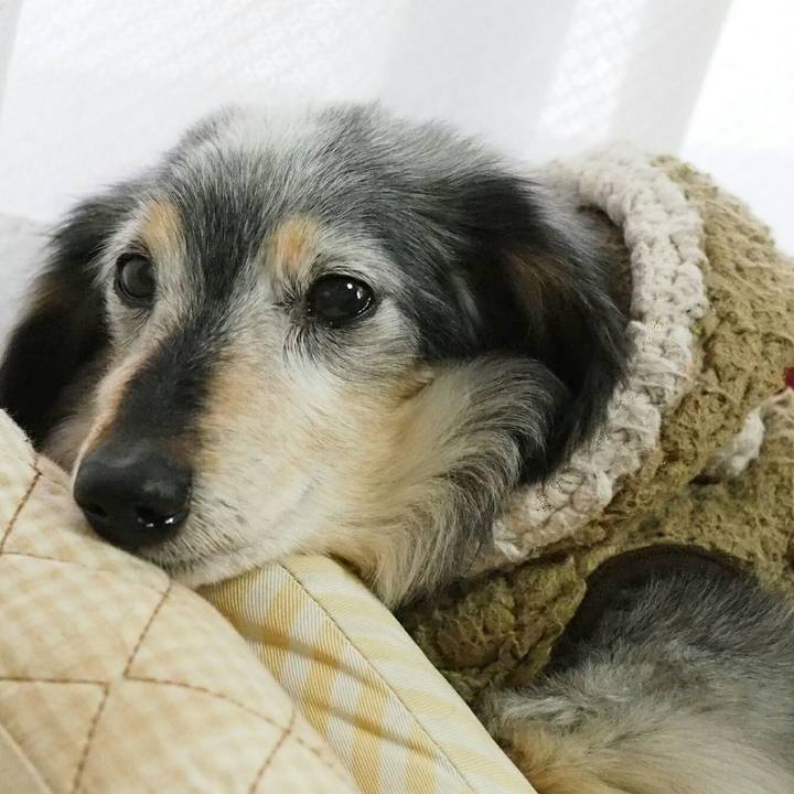 Fba30890 f9fd 42bd bedf 91b9704a74fa