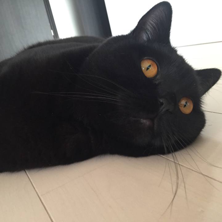 Fba37316 86b7 4a4b a10c c5921bf04e5f