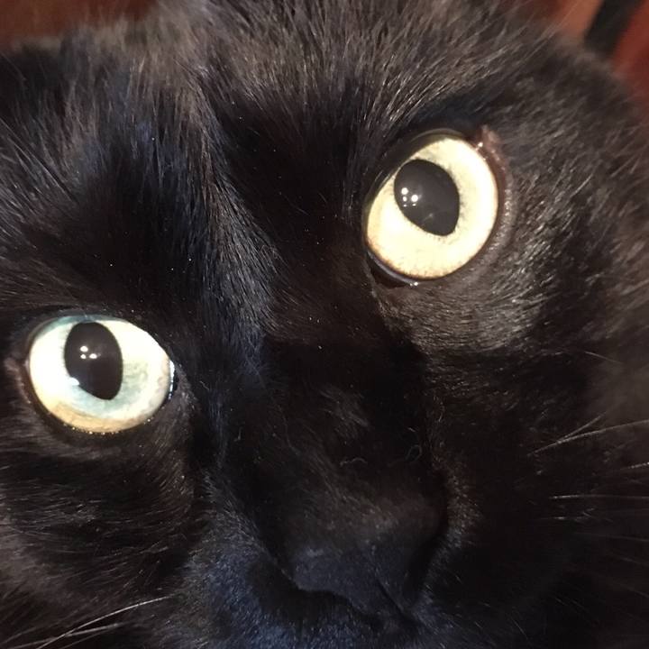 Fba40f89 1006 484a a0ac 0076c01d40c9