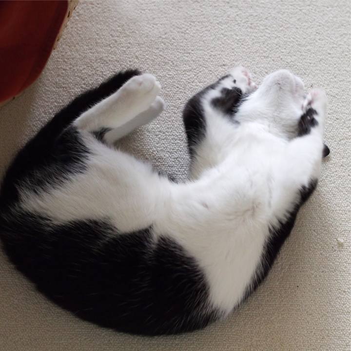 Fba490e0 4c0f 43bf 9d83 ac67dc30cfa5