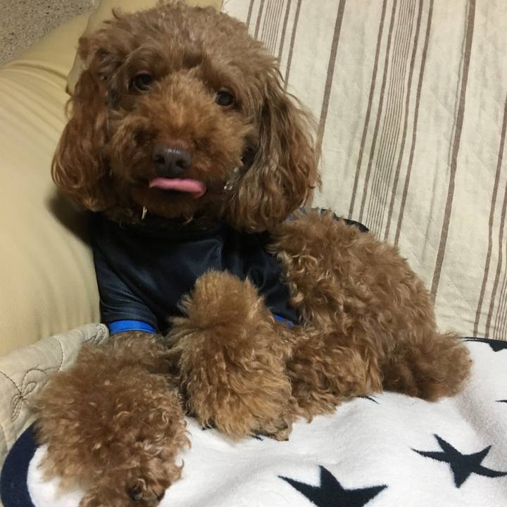 Fba49eed cdd2 4317 bacf 3f520febc8b5