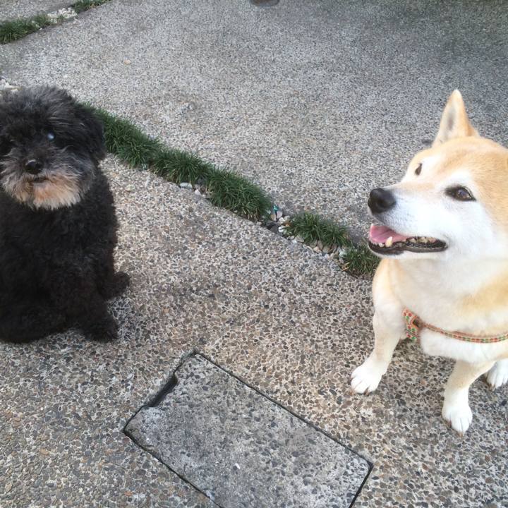 Fba56387 01b7 4a99 a8b5 dc2dc96c4253