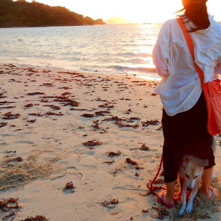 Fba6af22 d882 47fd 8f54 a59d4c43ccb6