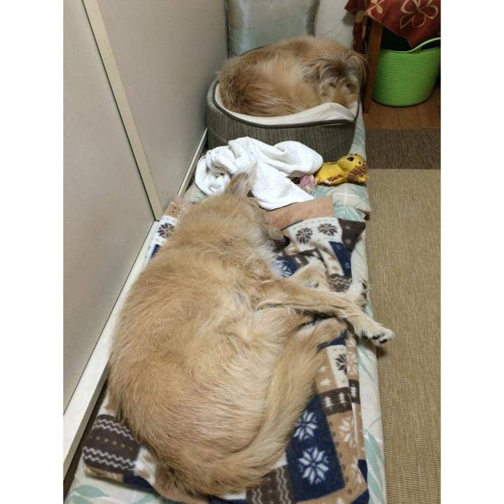 Fba6f8ed 07a3 4ed0 a35b 41d39c6ae97d