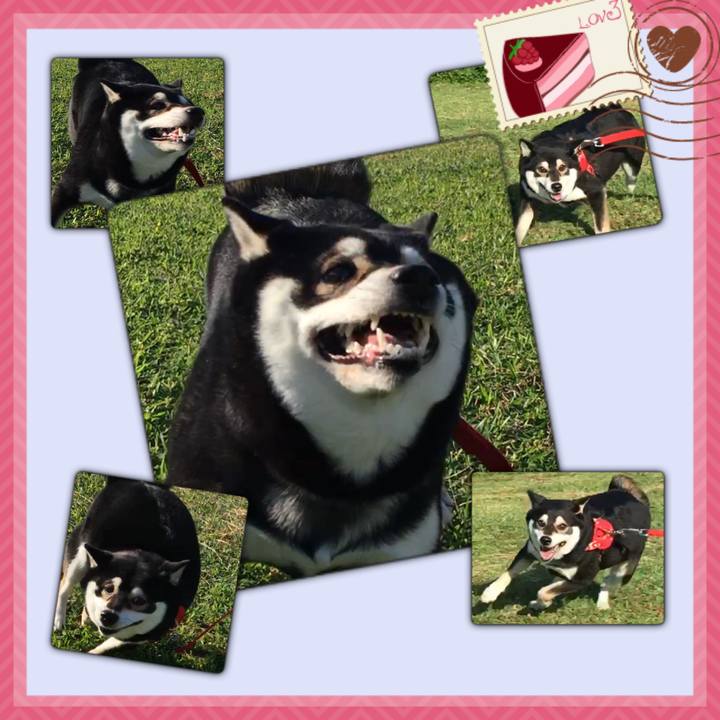 Fba75605 5900 410d bda7 68e81e85aab0