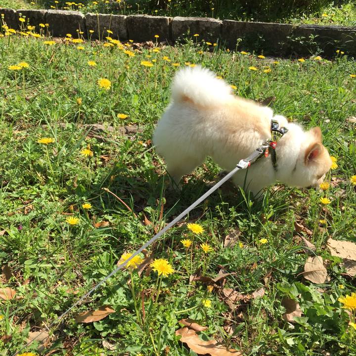 Fba790ec 73bd 4caf 8042 699fab38cbd8