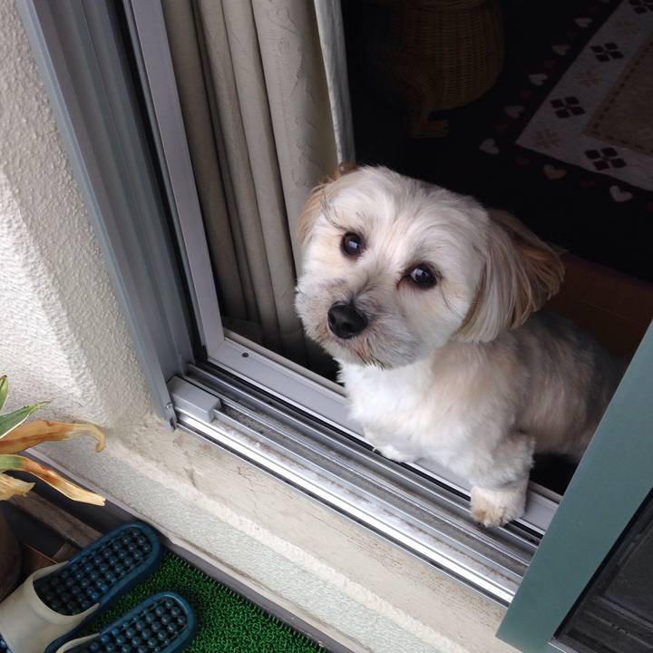 Fba7937c f406 41f4 92c0 4d06f4d95a10