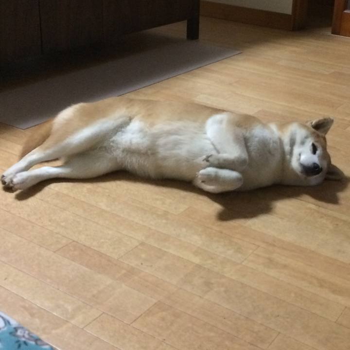 Fba7c3b9 0d4c 4926 9751 b451d0f07563