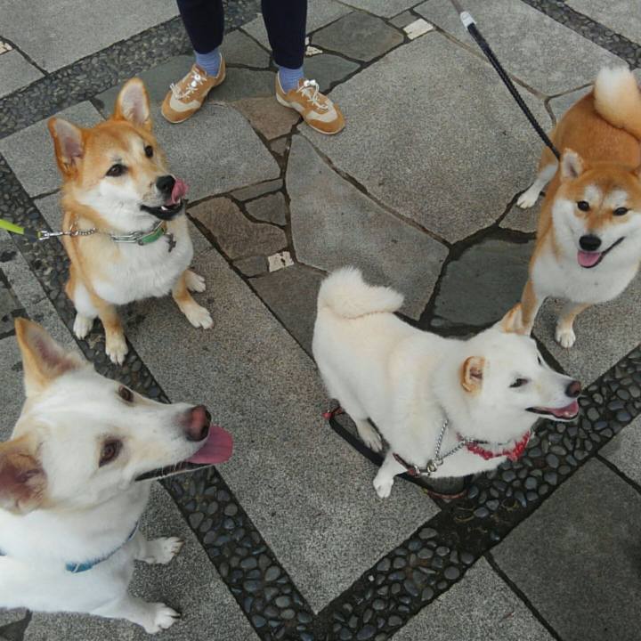 Fba7d51f f6e8 40e0 af65 4de858f65429