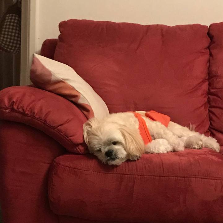 Fba8894f 85cf 4a32 8158 c475a809a07a