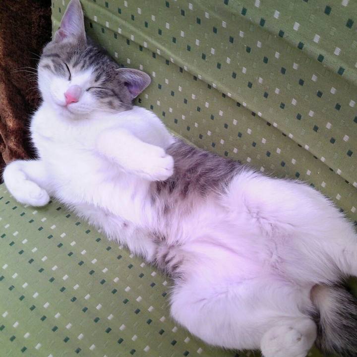 Fba8c5f8 105c 42f8 8662 1b6f1b47de07