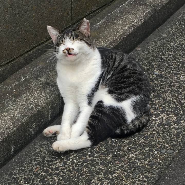 Fba93385 7c97 44eb 9b71 4ccdadafa783