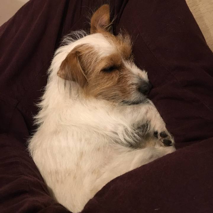 Fba945ae 624a 451c bab8 464786c6fc18