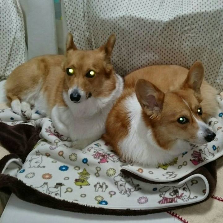 Fba970c0 baf9 47e6 88da cf8567263bed