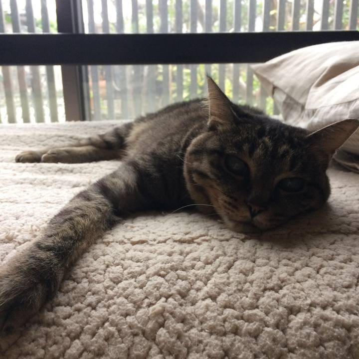 Fba9a54c e85d 432f 96c6 b21619808595