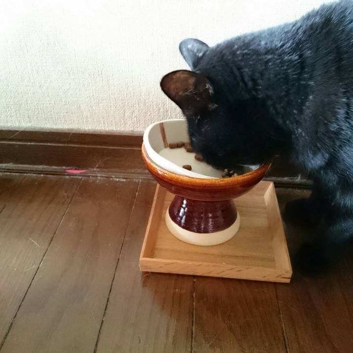 Fbaa67e2 f2b3 428f 87de 73c7b65ab01e