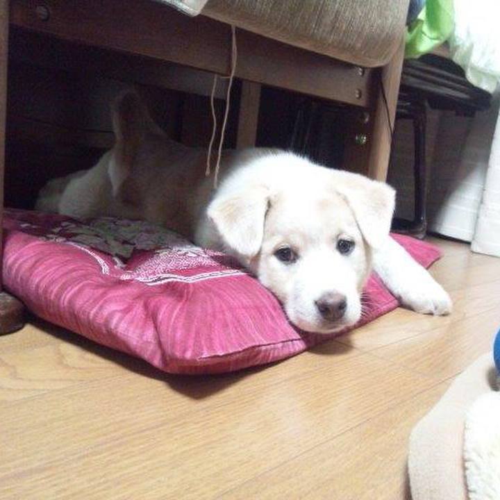 Fbaa6b16 5396 4c1e 9444 3373bb6c8e3e