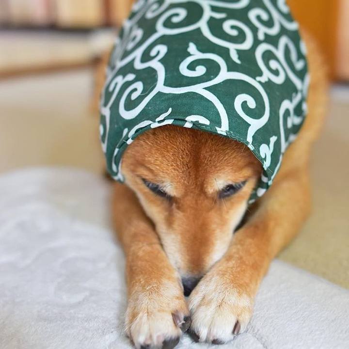 Fbaa9326 5823 4002 91eb bce5ce808e71