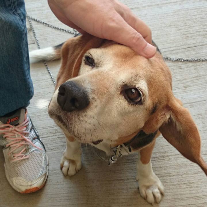 Fbab3857 44dc 4627 8a2e 4f352d4960f6