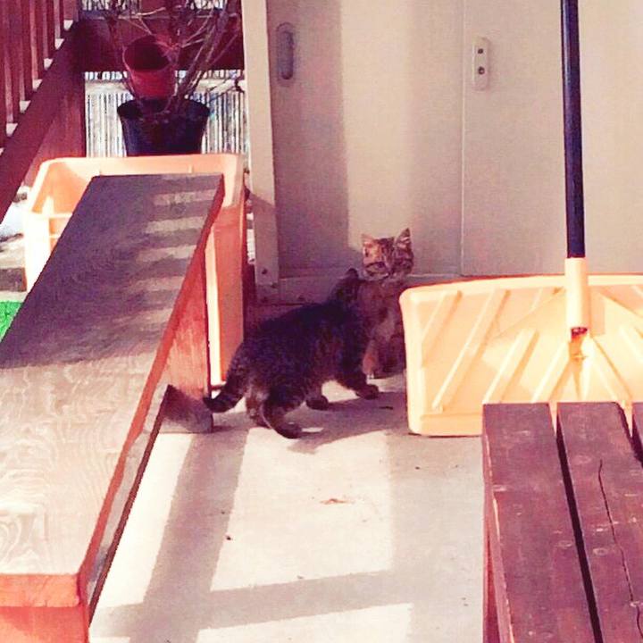 Fbabeab9 d190 4360 8068 38d6312032ae