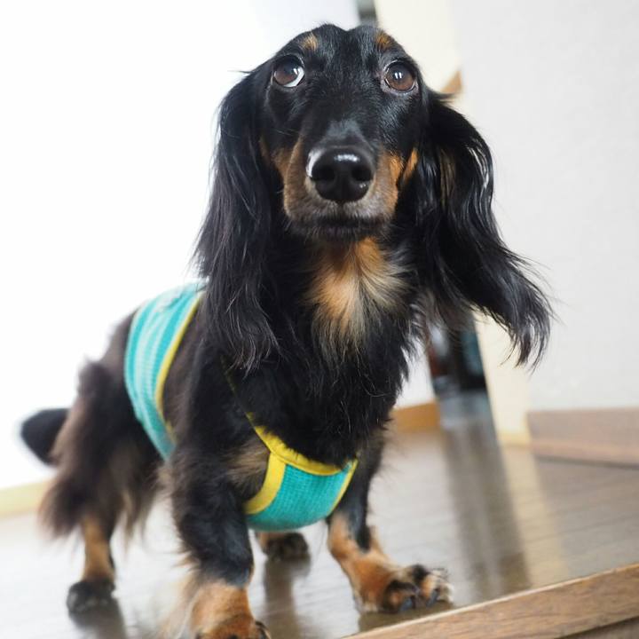 Fbac4e47 bc01 4b31 9069 a9474d0d5137