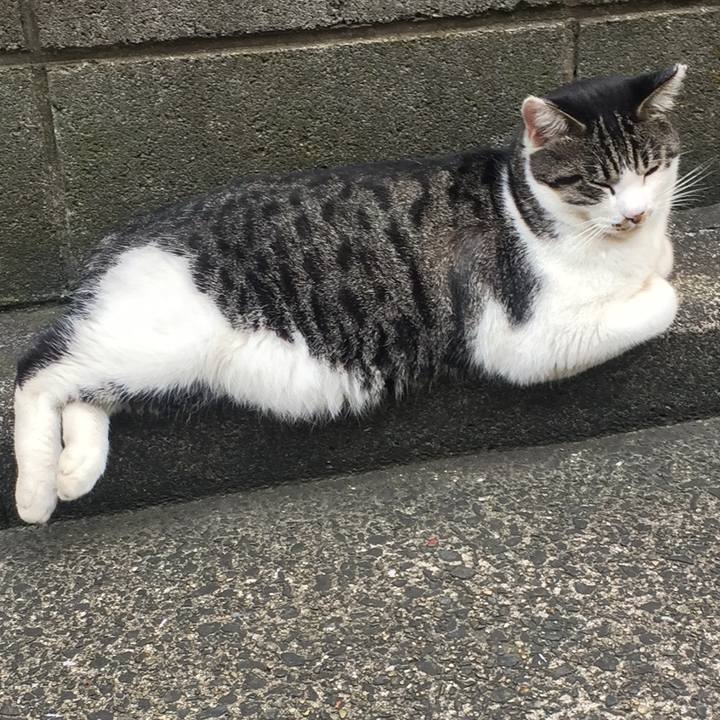 Fbacddf8 f5d5 4d24 ad18 1b834a40fa9c