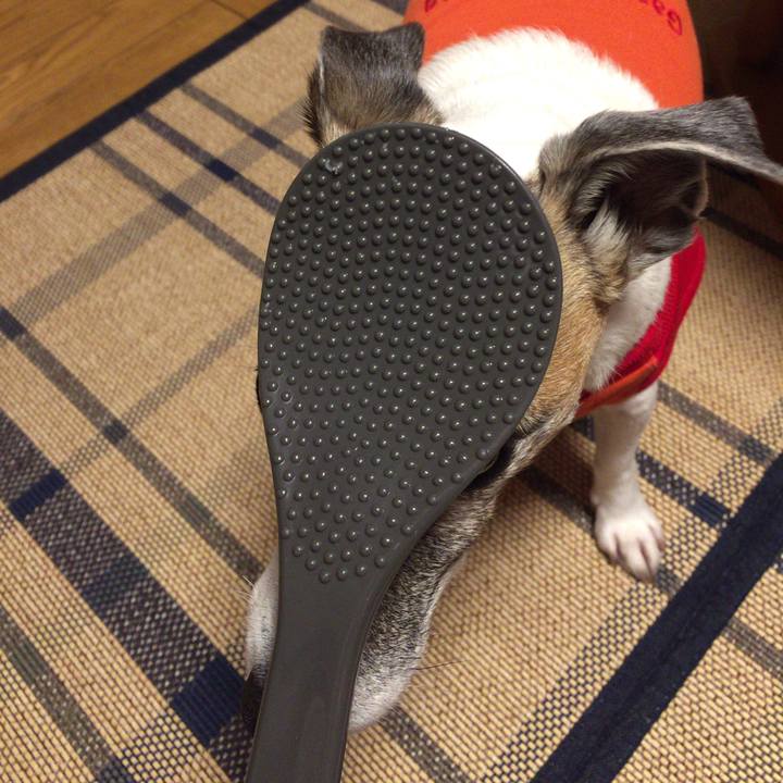 Fbad0d24 2f6f 4692 8f35 52b18d8581ab