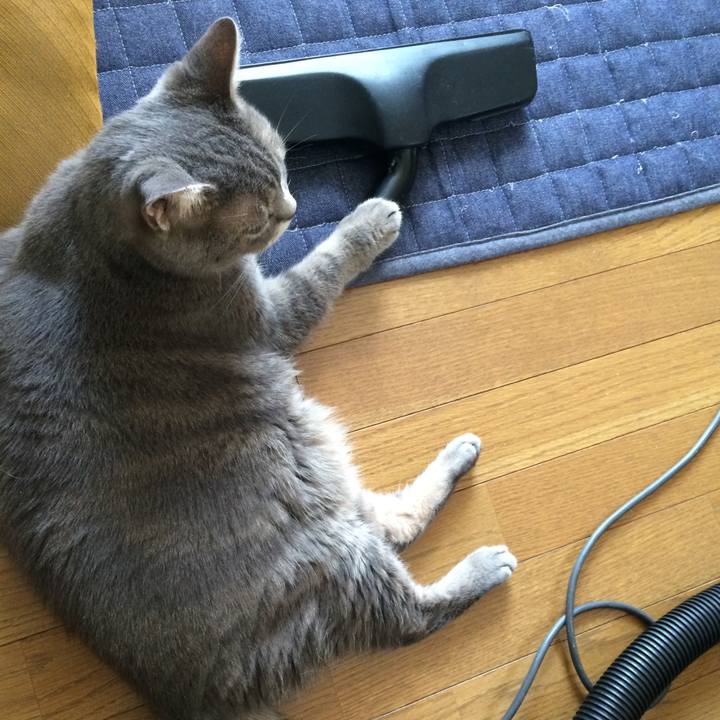 Fbad6e8a b905 4e41 ad5a 9f6dea7cf098