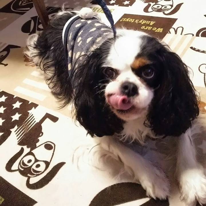 Fbadbd35 d266 49d9 89de 326d9901dcad